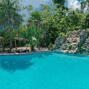 Jolie Jungle Eco Hotel (Adults Only)